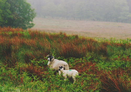 jacindaelena:Daniel Casson