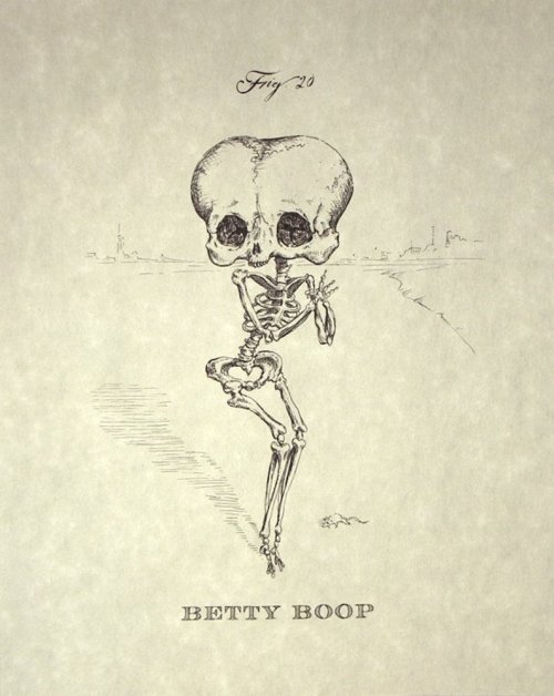 MPaulus aka Michael Paulus (American, based Portland, OR, USA) - Betty Boop Skeleton, Drawings