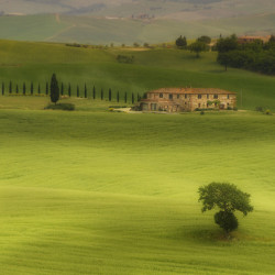 breathtakingdestinations:  San Quirico d’Orcia