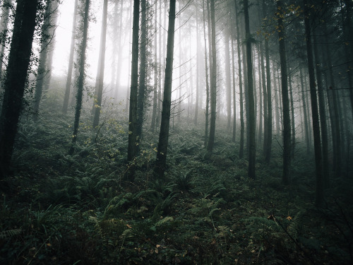 ardley: Wind Down, SomersetPhotographed by Freddie Ardley 