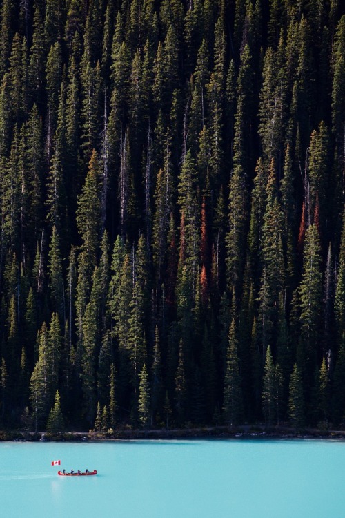 mymodernmet:  Stunningly picturesque moments captured by photographer Finn Beales. 