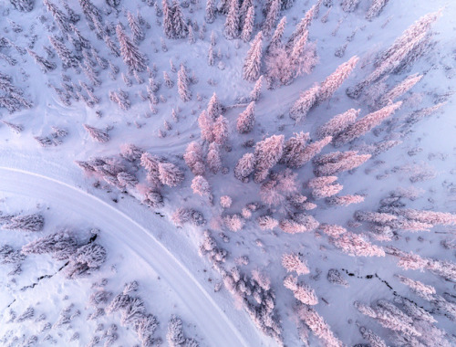 landscape-photo-graphy:Gorgeous &amp; Ethereal Aerial Photographs of a Snowy Forest in Finland b