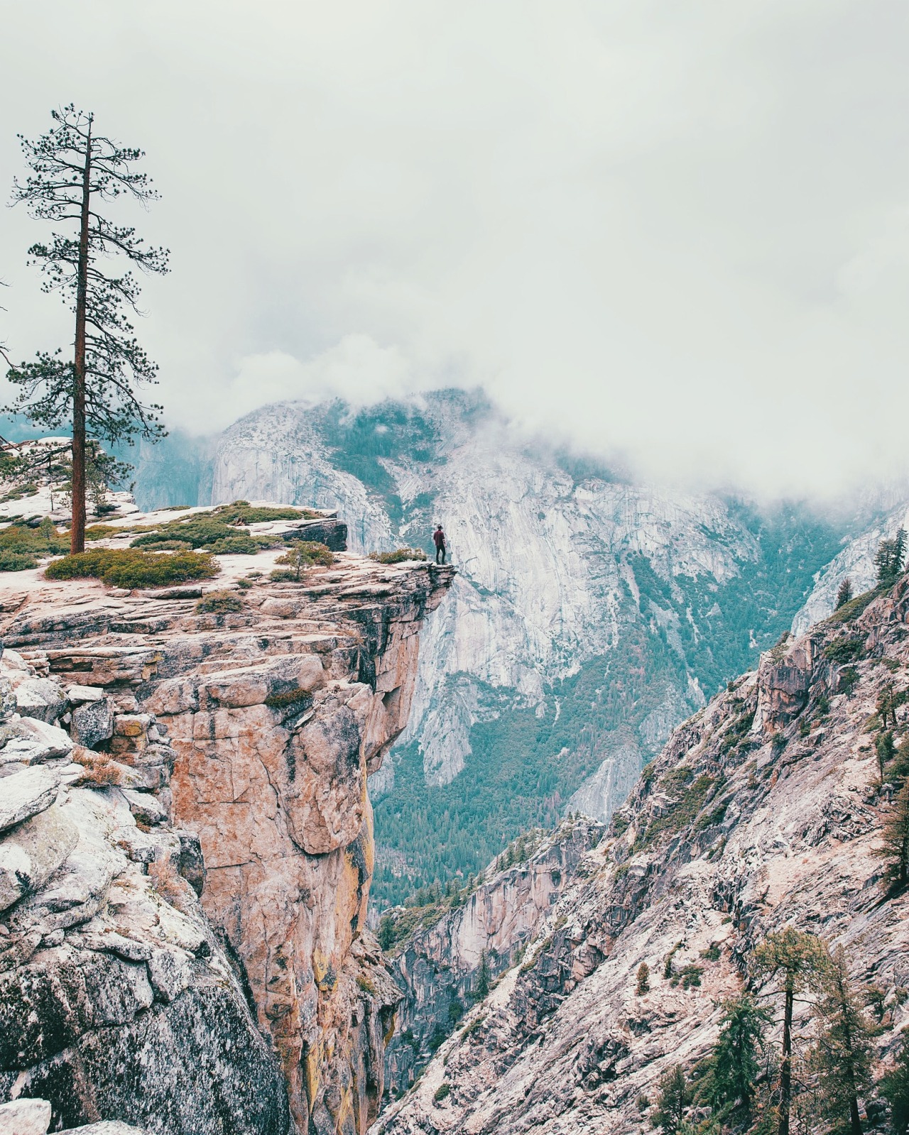 danielodowd:  Morgan Phillips