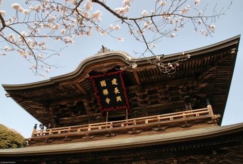 Shinto shrines