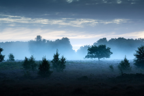 Roydon Common 03/09/2016 by Matthew Dartford Facebook Twitter instagram Personal Website