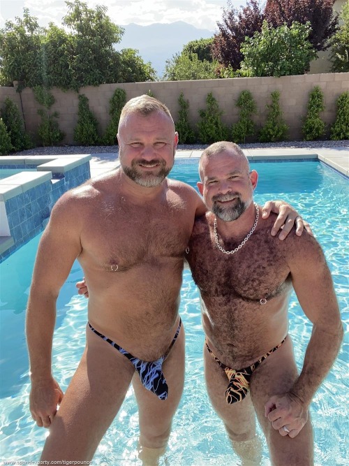 Bulls Bears And Brawn
