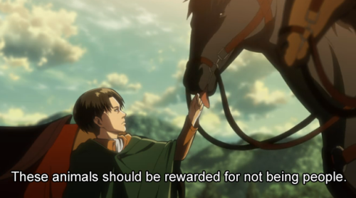 sparkafterdark: Whoever wrote that line has talked to a person who owns horses.