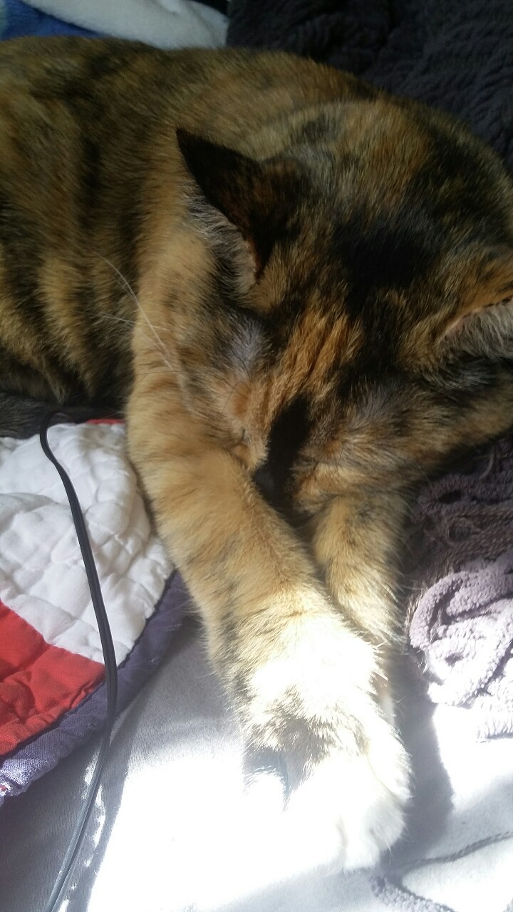 She likes to hide her face when she sleeps