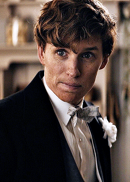 EDDIE REDMAYNE As NEWT SCAMANDER FANTASTIC BEASTS: THE SECRETS OF DUMBLEDORE 2022 | Dir. David Yates
