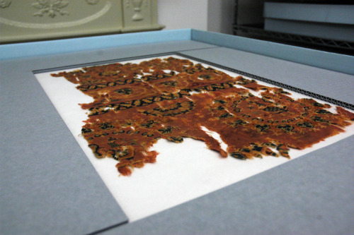 It’s a wrap!
Textile Museum staff have concluded a monumental initiative to survey our collections in preparation for the museum’s 2014 move to the George Washington University—finishing up with this intricate seventh- to eighth-century textile...