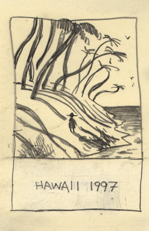 samaldencomics:     Sam Alden, Hawaii 1997 