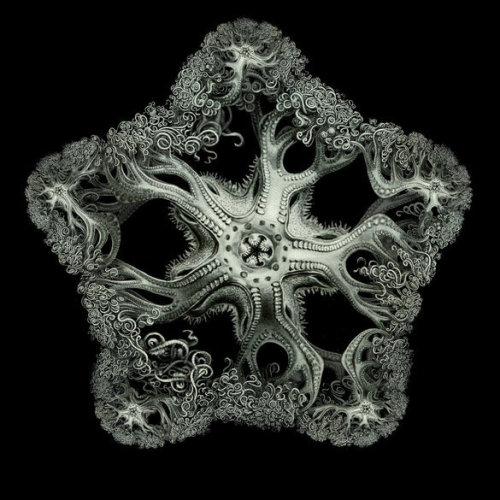 jtotheizzoe:via visualizingmath:Fractal Generator Art by Tom BeddardAll three of these fractals