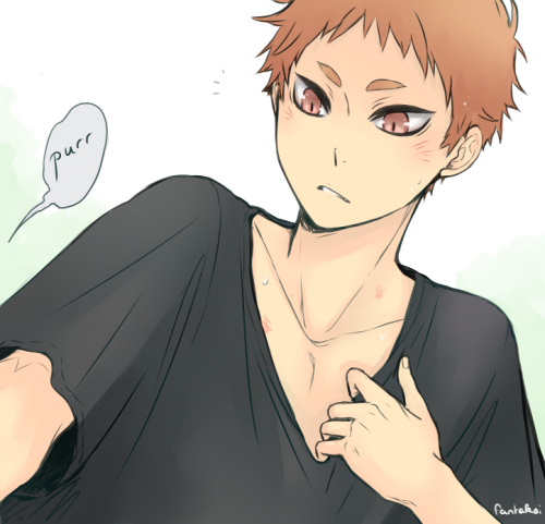 fantakoi:  being nervous and excited at the same time might just end in… purring?