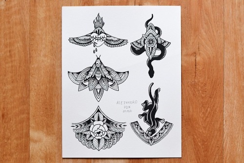 New flash. Sternum designs. Portland, OR