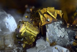 underthescopeminerals:    Pyrite   Locality:San Giovanni Mine, Punta della Torre, Iglesias, Carbonia-Iglesias Province, Sardinia, Italy    Collection and photograph Juan Miguel.  