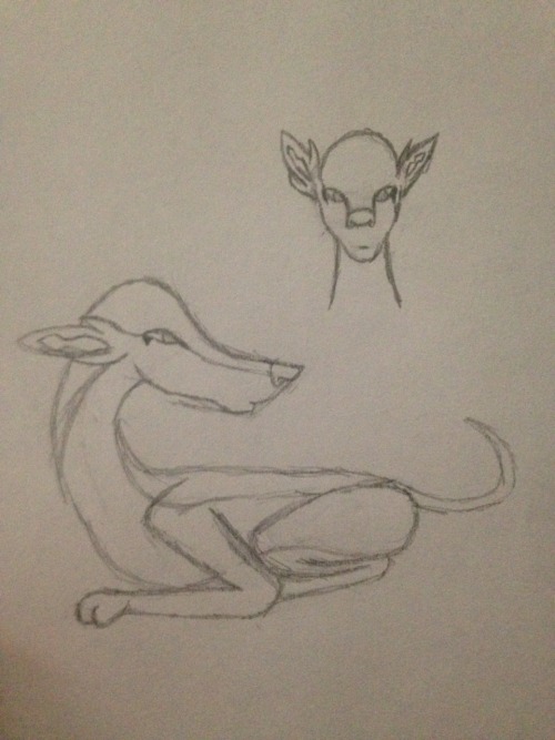 A Night Full Of Sketches Because My Mind Won't Shut Off Until 11pm.