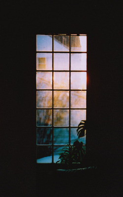 brutalgeneration:  untitled by olivia bee on Flickr.