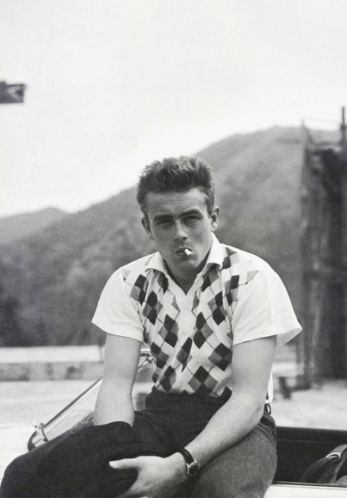 donnareeds: babeimgonnaleaveu: James Dean, 1954.