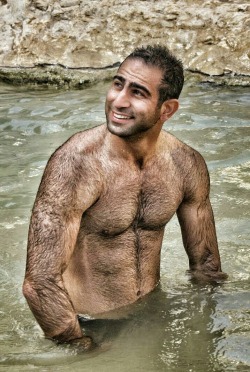 Gay Bears Australia