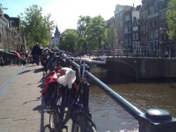 Today’s a sunny day in Amsterdam. Finally!!