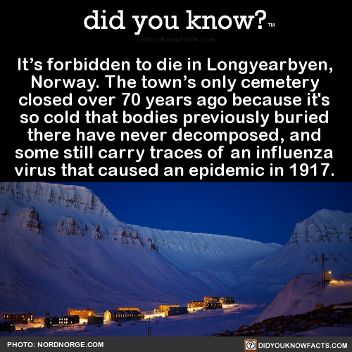 did-you-kno: It’s forbidden to die in Longyearbyen, Norway. The town’s only cemetery clo