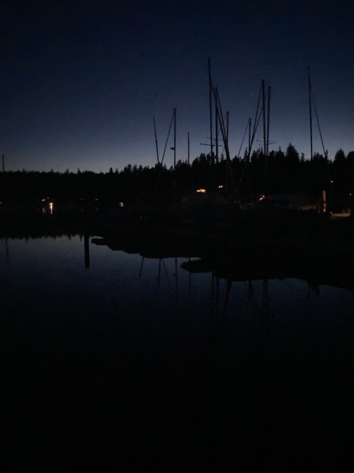 Biked Down To The Dock Last Night, And Remembered How Important It Is To Spend Time By Yourself. Feel