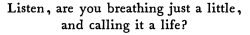 valliots:ALTMary Oliver, from “Have You Ever Tried to Enter the Long Black Branches.”