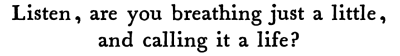 valliots:ALTMary Oliver, from “Have You Ever Tried to Enter the Long Black Branches.”