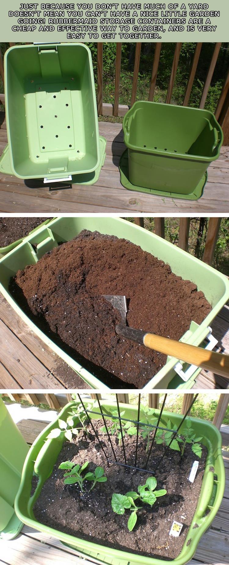 pr1nceshawn:Helpful Gardening Tips.=o Useful info!