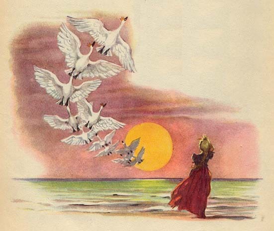 alifeoffairytales:  Libico Maraja - The Wild Swans (Part 1/2)