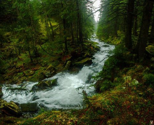 kevwil:“The river that travels through the forest” by Vitergir (http://bit.ly/1jEae4Z)