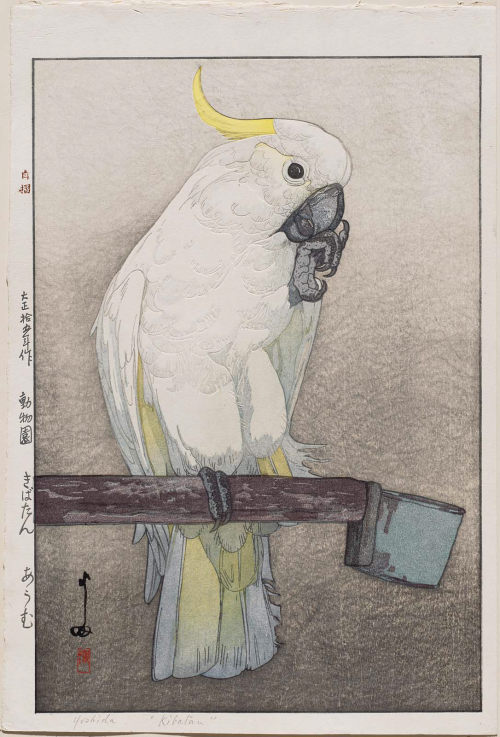 Hiroshi Yoshida 吉田 博 (1876 - 1950) - Kibatan Parrot 1926