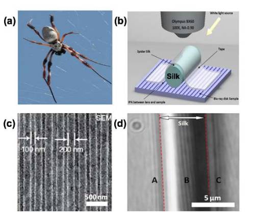 Spider silk: Mother Nature&rsquo;s bio-superlensScientists at the UK&rsquo;s Bangor and Oxfo