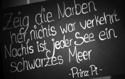 wantwingstofly:  Zeig die Narben her, nichts war verkehrt. Nachts ist jeder See ein schwarzes Meer. - Prinz Pi - 