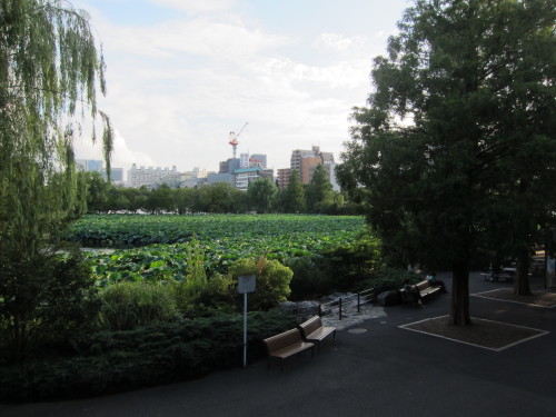 上野動物園. Ueno Zoo.