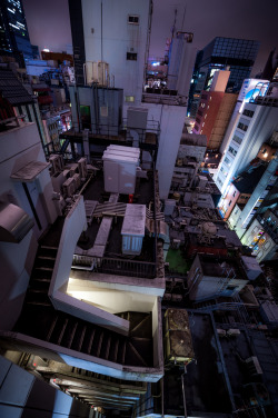 lkazphoto:  Jungle, Ginza （銀座） 