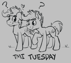toomuchnotsafeforhoofs:  We’re going to try some tmi tuesday! Click the pic above to ask, or click here  It returns, be sure to ask on the right blog