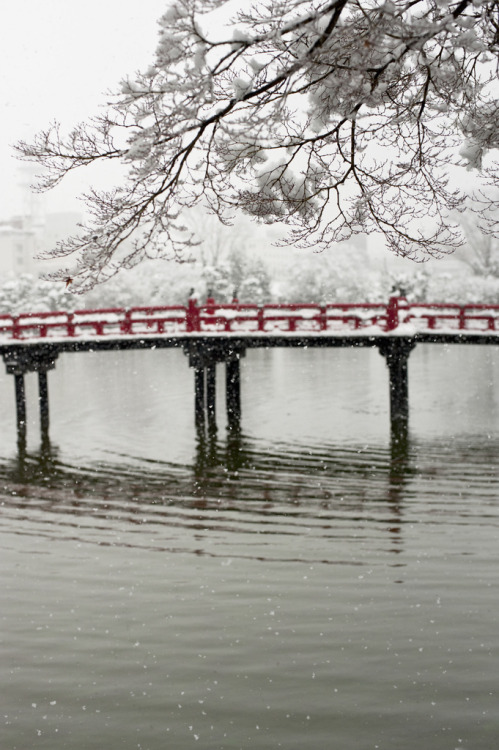 fuckyeahjapanandkorea: Bridge at the Castle (by camillaskye)