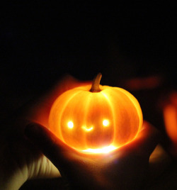 immortal-autumn:  Mini jack-o-lantern on