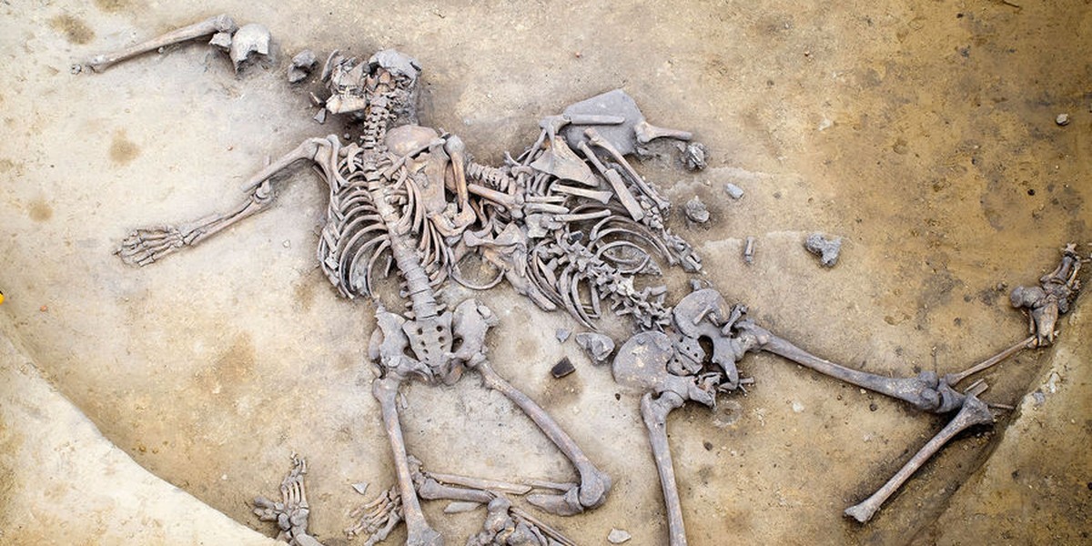 Bones From 6,000-Year-Old Massacre Found in France