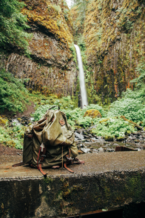 Location: Dry Creek - Cascade Locks, ORDate: June 15th, 2014