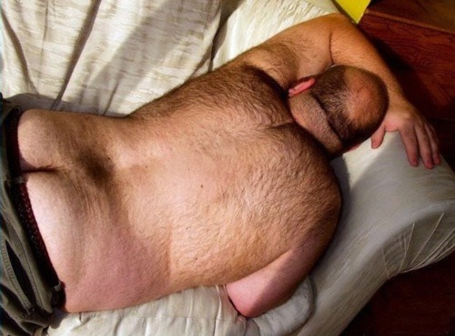 bearso:  More bears?,Follow me! ↘BEARSO! 