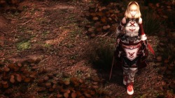 fooortune:  以前長い期間愛用させていて頂いていたENBセッティング、Seasons of Skyrim ENB True HDR。更新が止まってから別のセットに移行していましたが、なんと久々の更新が!! すごく嬉しいです。早速導入して使ってみましたが、なんというか、やっぱりこの方のセットのバランス感覚はすごく好きだなあ、と思うことしきり。と、思い出しましたが、前に愛用している頃、何度かNexusでメールのやり取りをさせて頂いた関係で、何故かページのSPECIAL