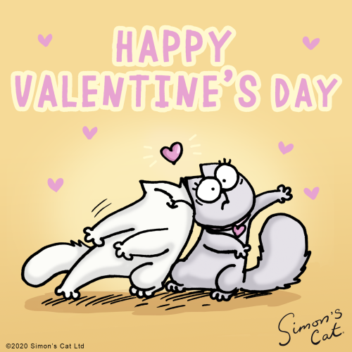 simonscat