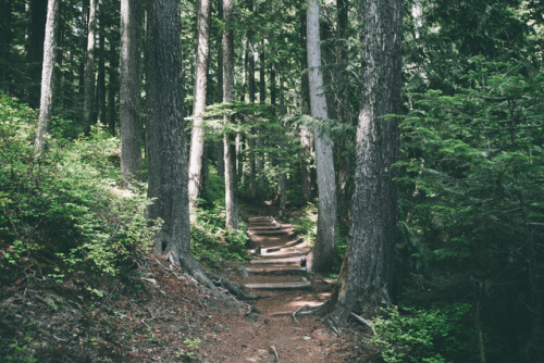 hannahkemp: Happy Trails
