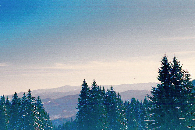 ev0lution-of-stardust:  My Favorite Edges by Esprit Sauvage 