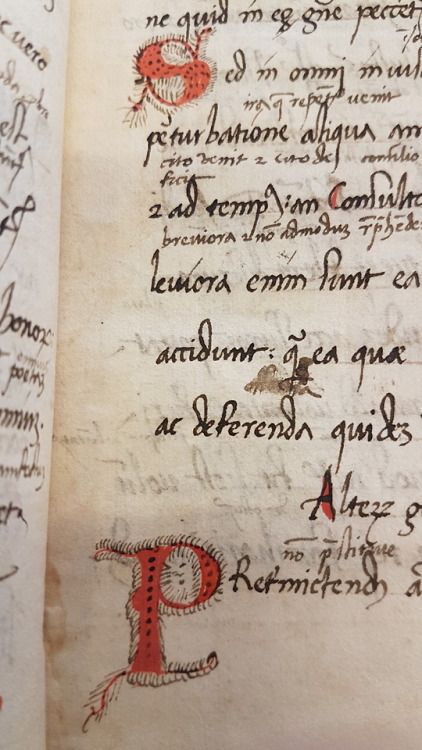 upennmanuscripts: LJS 385 - [School miscellany] Finals are almost here, are you curious to know what