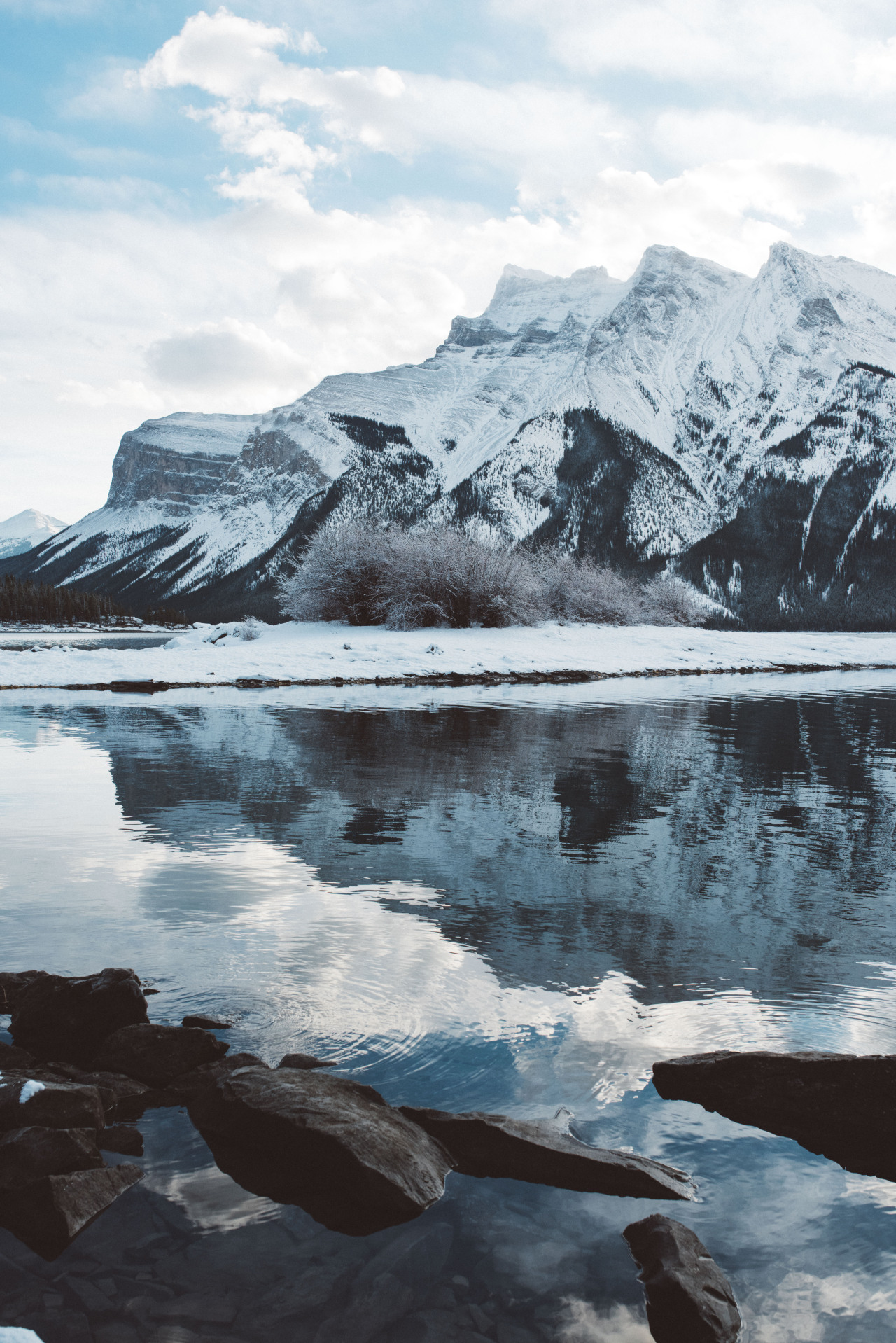 teapalm:  (Tasha Marie) | Banff National Park