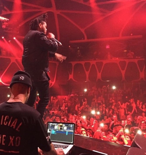 theweeknddaily:  The Weeknd at Hakkasan Nightclub