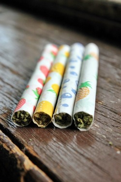 420everydayz:  Grow your own cannabis - Click